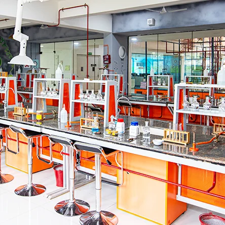 Students working in the chemistry laboratory at NHIS