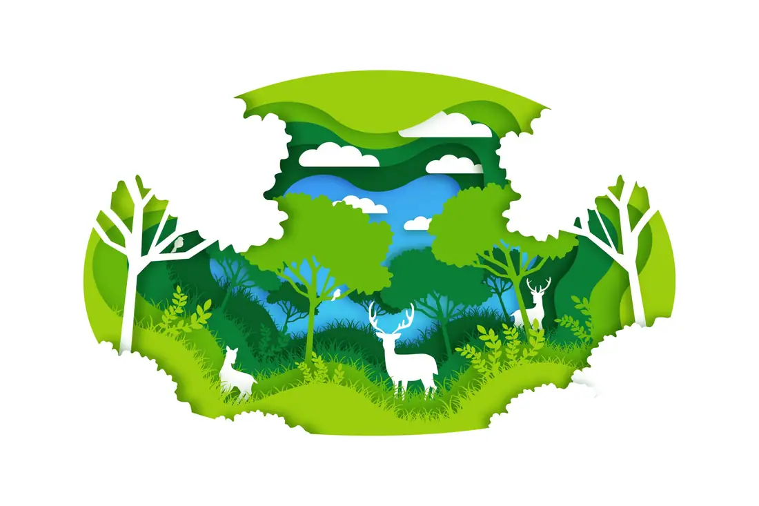 What is environment? Its Components and Significance