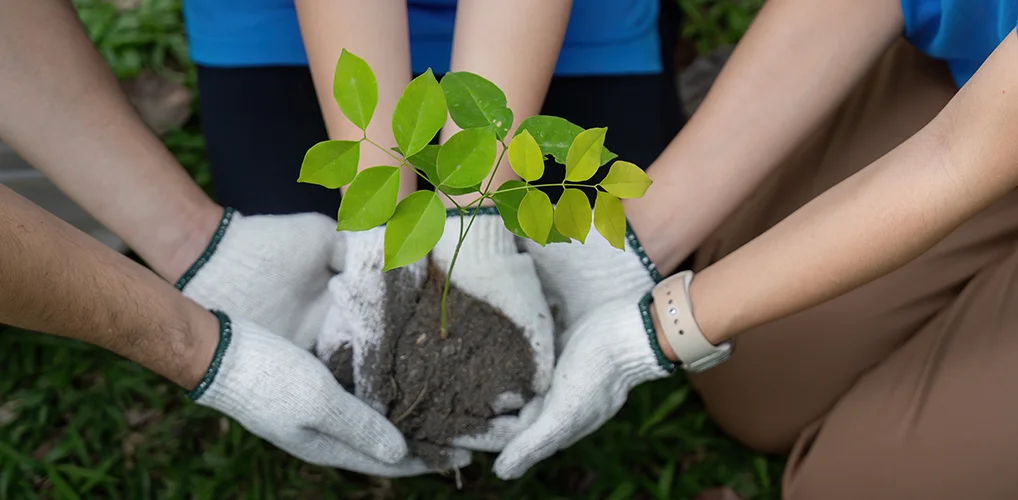 Why Community Service Is Important for Students
