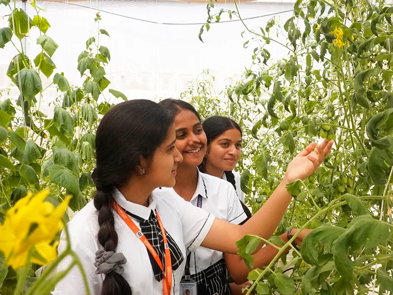 Learning with plants in hydroponics