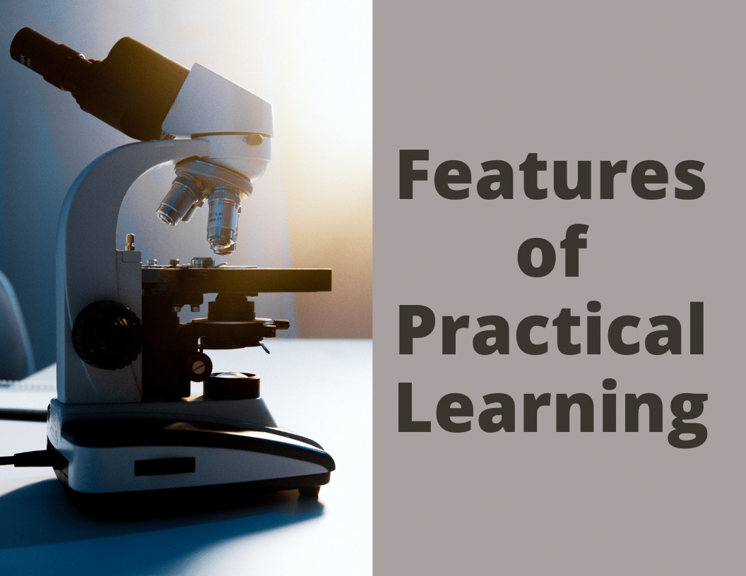 Features Of Practical Learning New Horizon International School